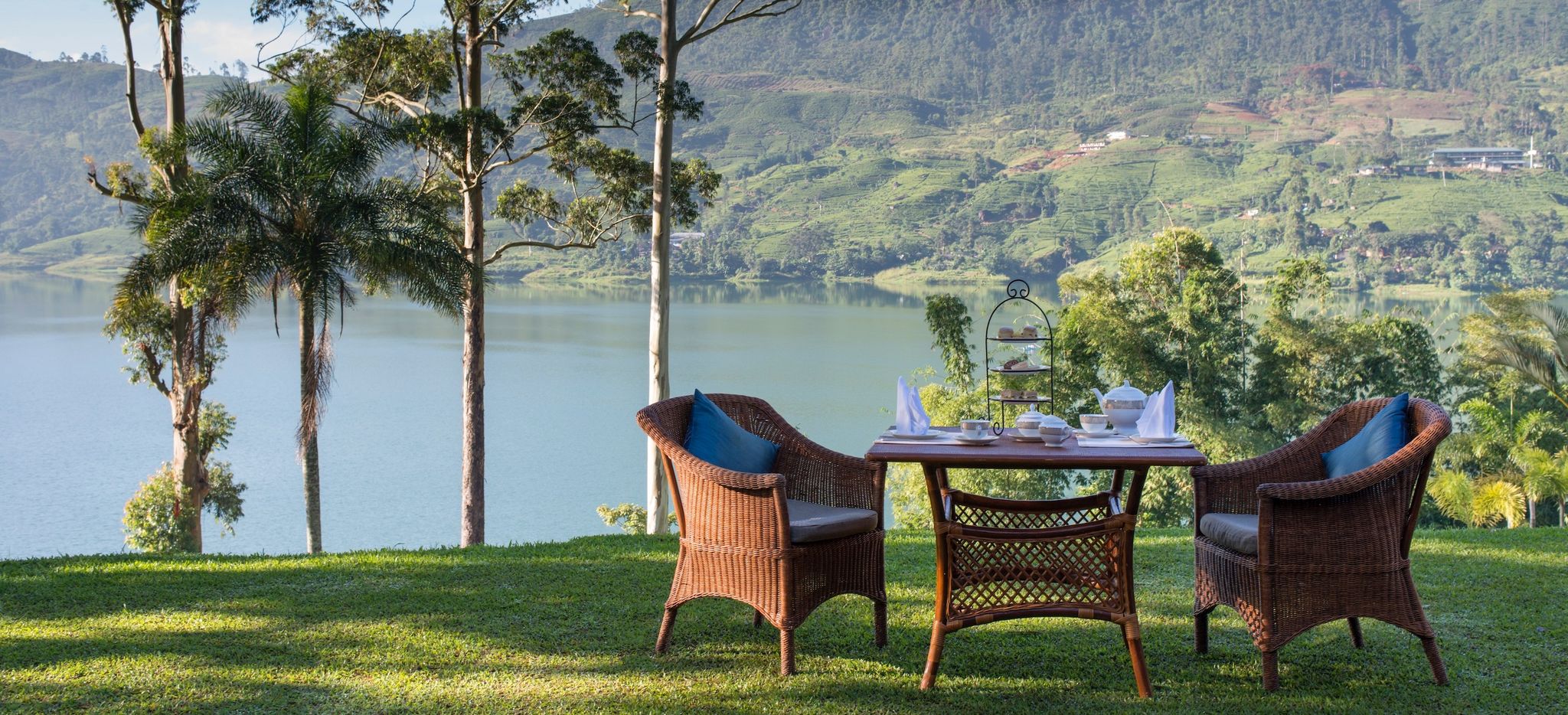 Ceylon Tea Trails garden