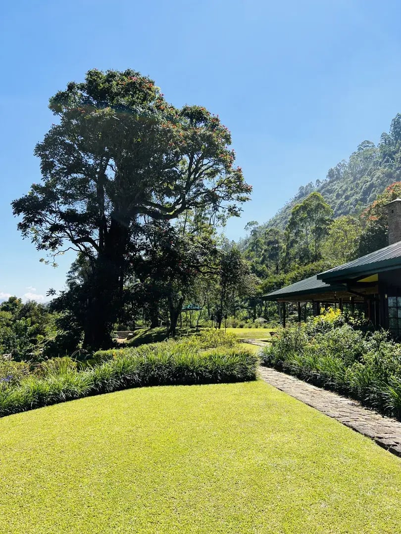ceylon tea trails p16