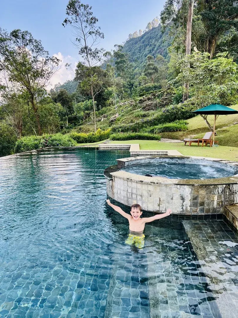 ceylon tea trails p24