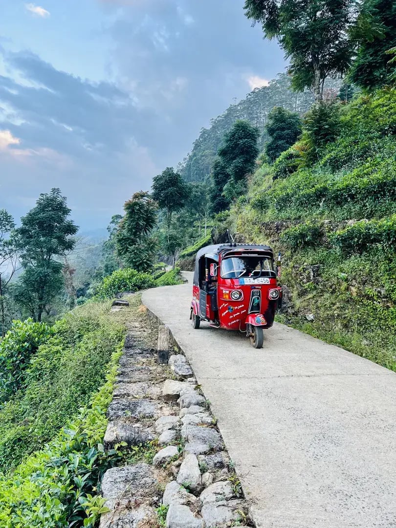 ceylon tea trails p29