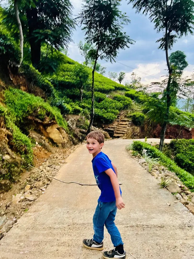 ceylon tea trails p31