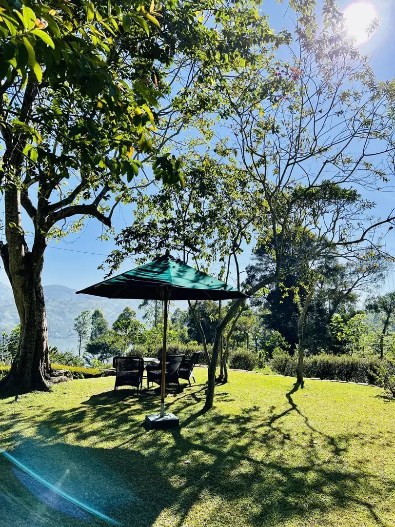 ceylon tea trails p33