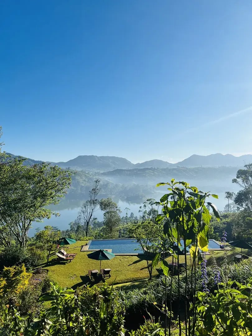 ceylon tea trails p44