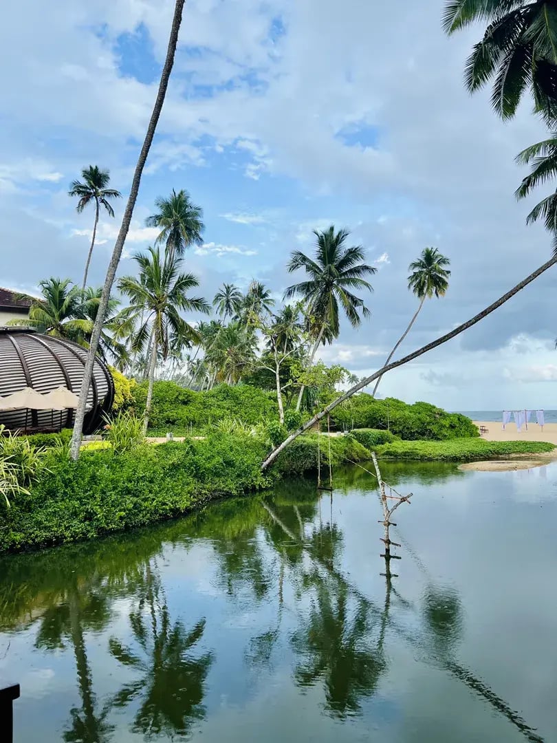 anantara peace haven p14