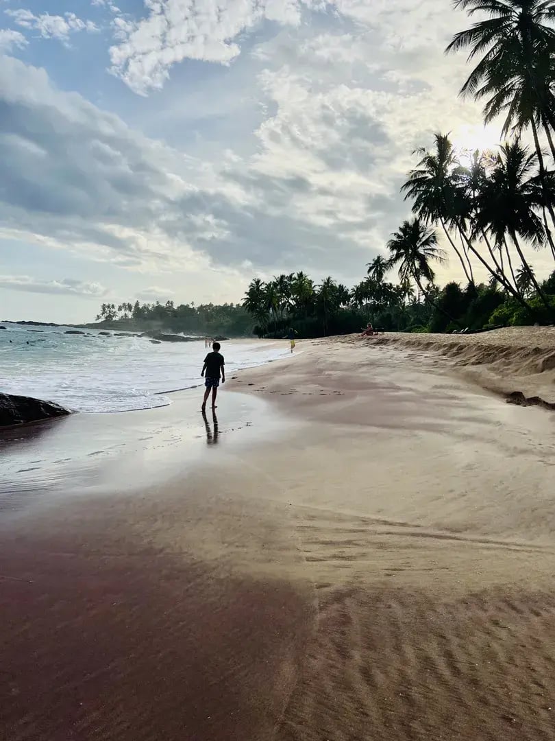 anantara peace haven p17