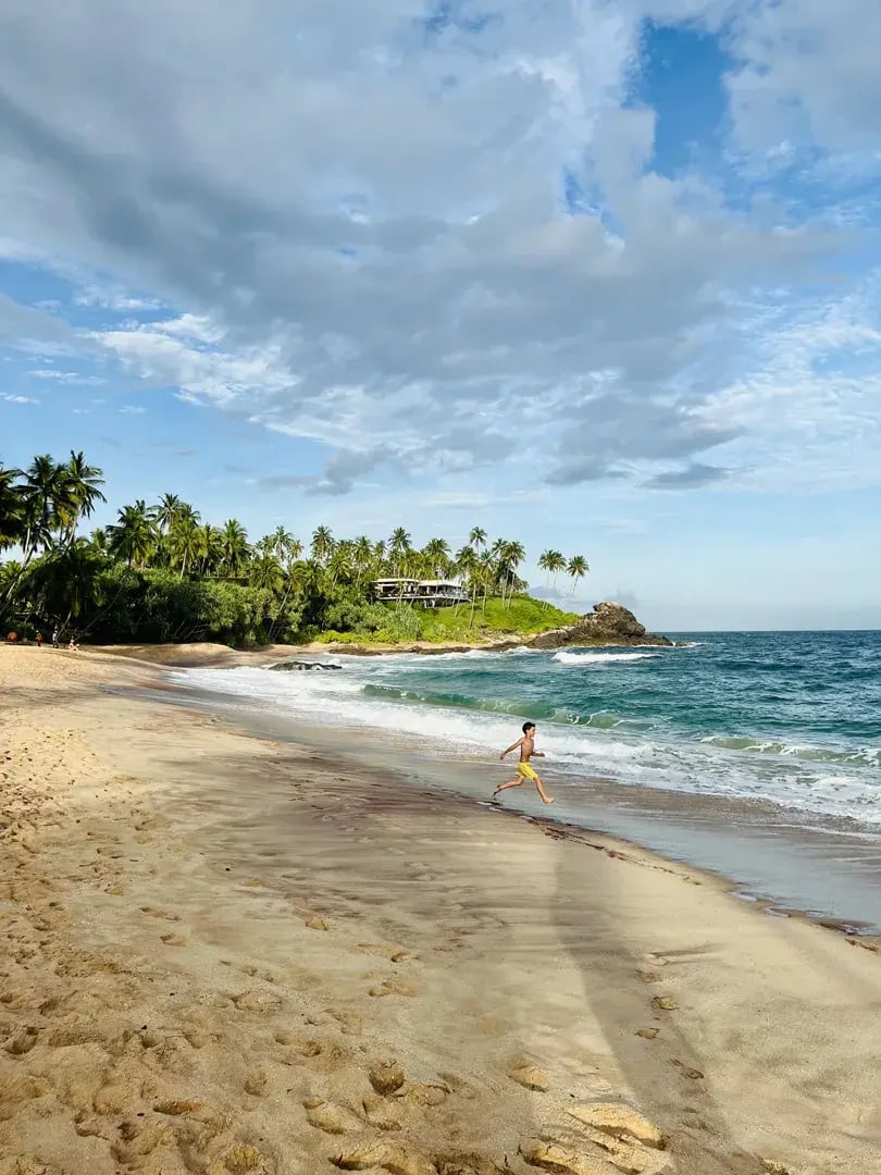 anantara peace haven p18