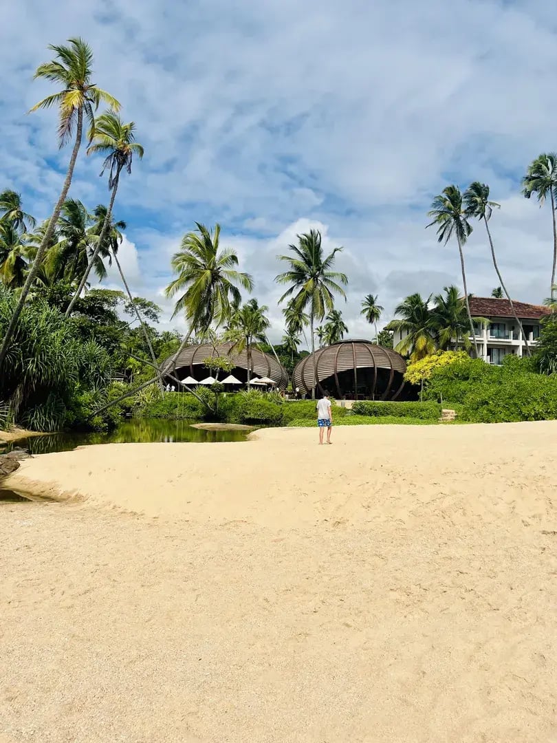 anantara peace haven p20