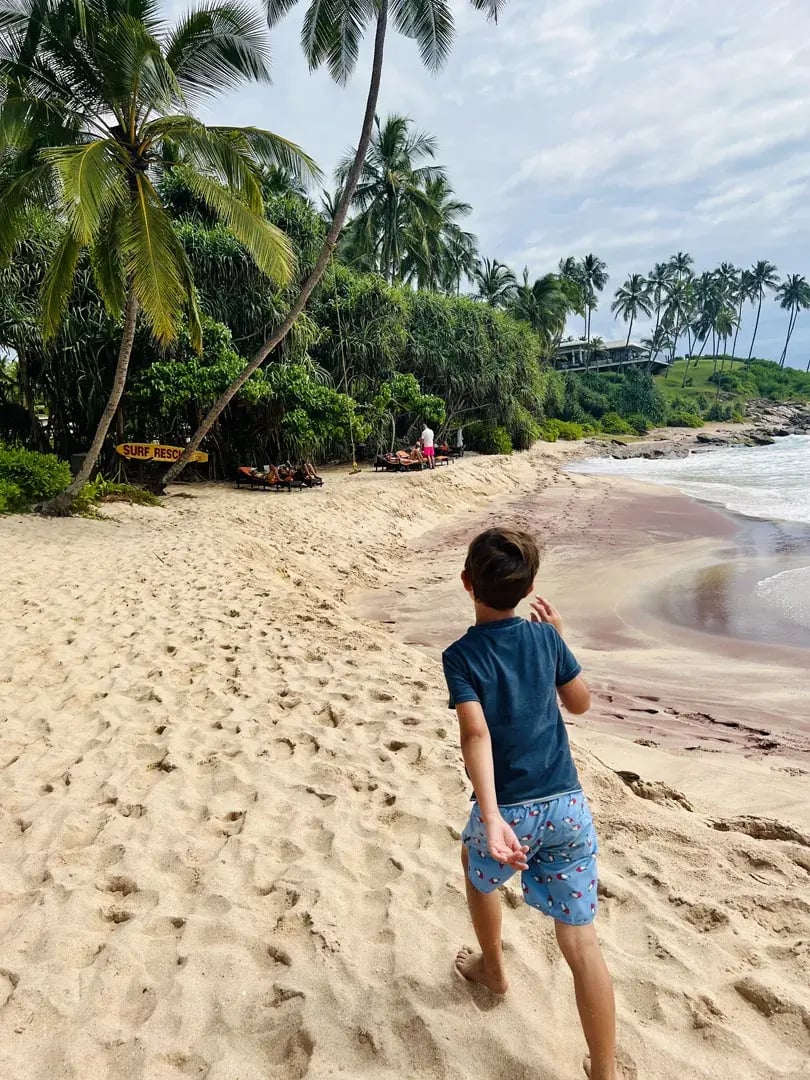 anantara peace haven p21