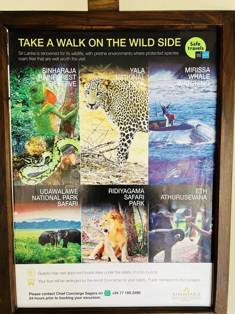 anantara peace haven p26