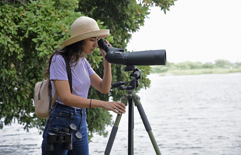 Shahpura Bagh bird watching