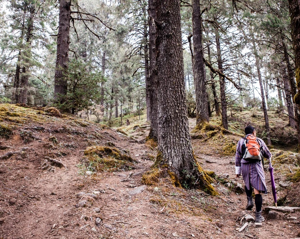 six-senses-paro-bhutan-familienluxusreisen-thefamilyproject-hiking