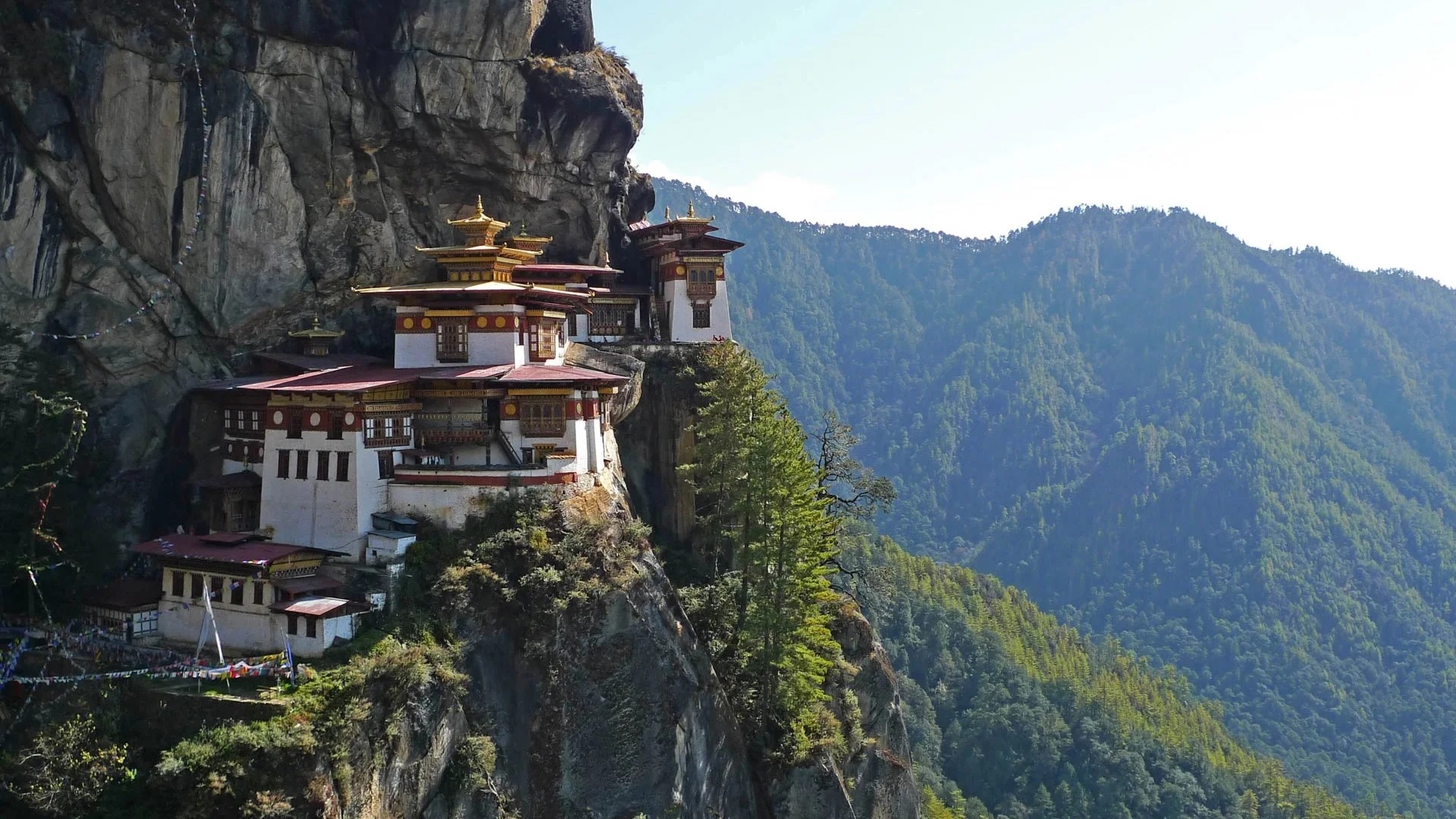 six-senses-paro-bhutan-familienluxusreisen-thefamilyproject-tiger