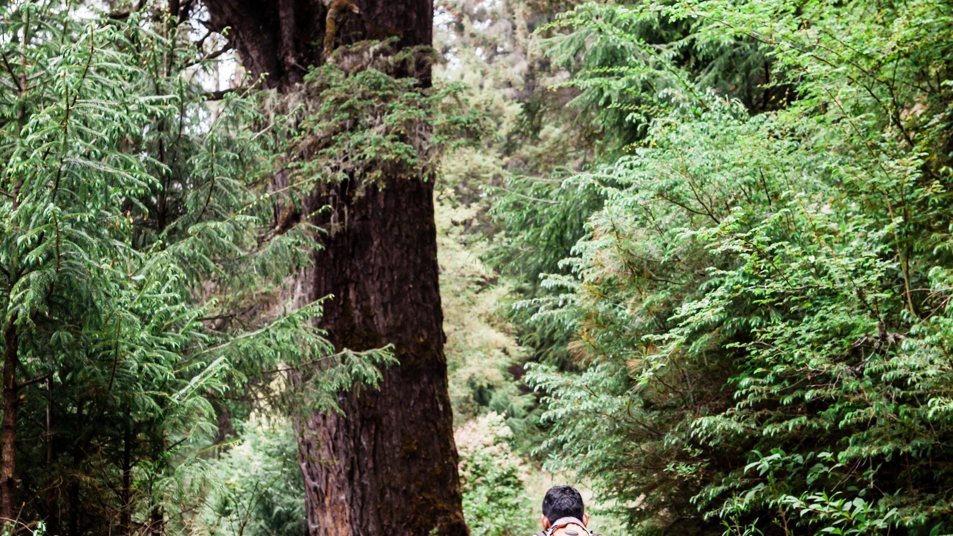 six-senses-gangtey-bhutan-familienluxusreisen-thefamilyproject-hiking
