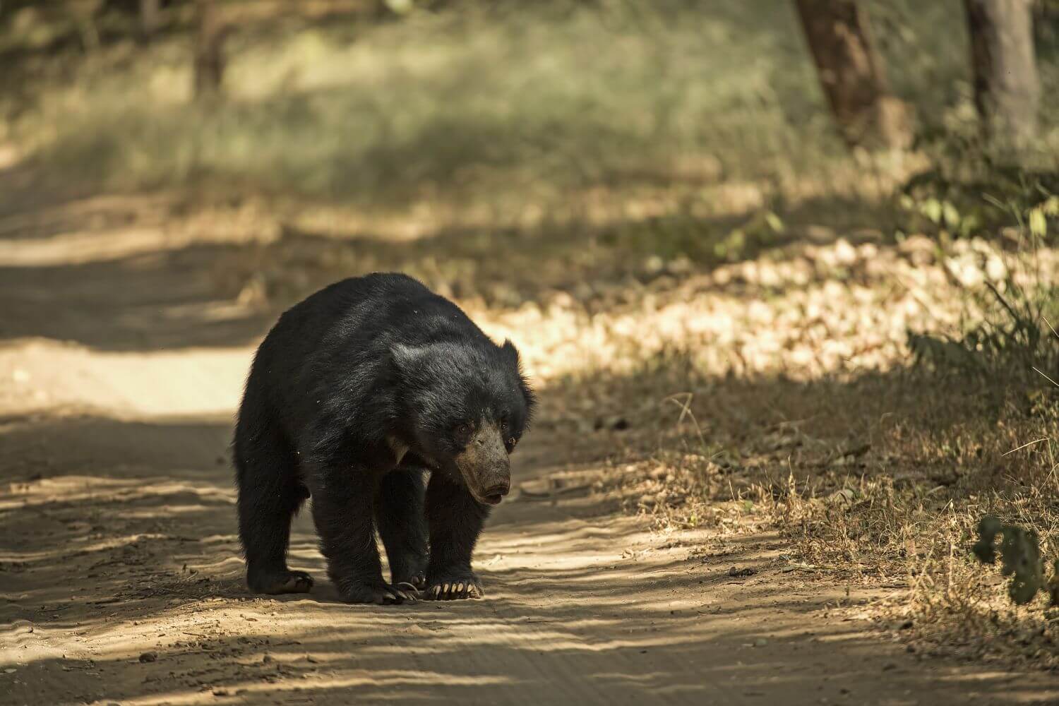 sujan-sher-bagh-indien-familienluxusreisen-thefamilyproject-bwar
