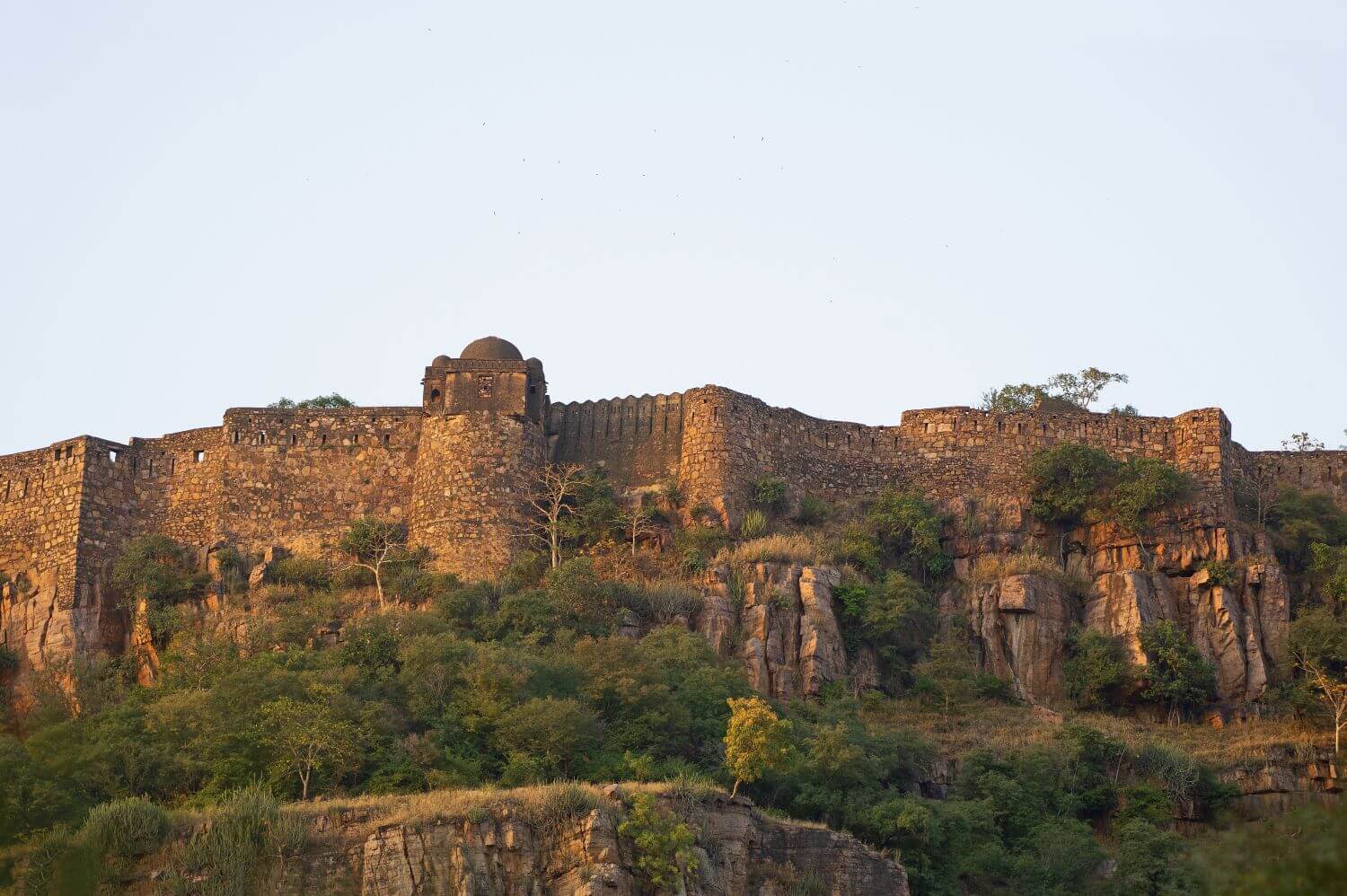 sujan-sher-bagh-indien-familienluxusreisen-thefamilyproject-landschaft