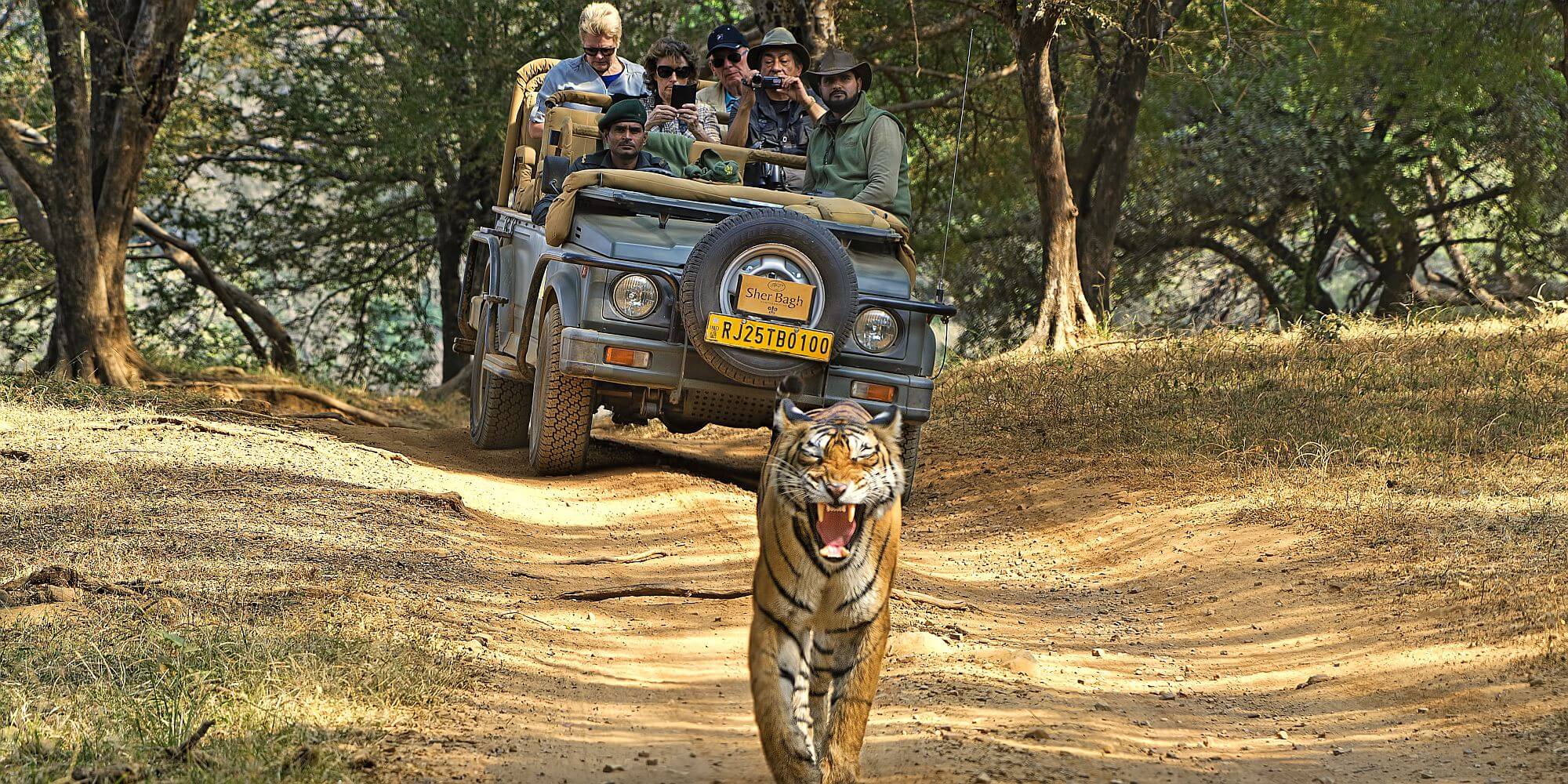 sujan-sher-bagh-indien-familienluxusreisen-thefamilyproject-safari