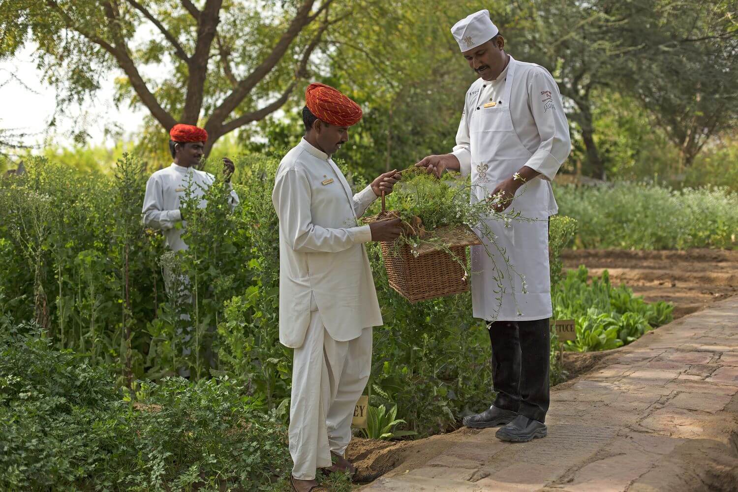 sujan-the-serai-indien-familienluxusreisen-thefamilyproject-garten