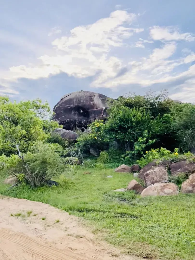 uga chena huts p29