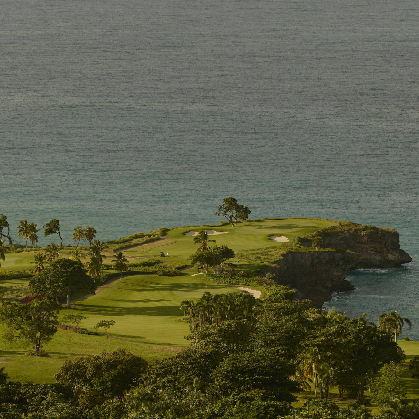 Amanera Activity Golf