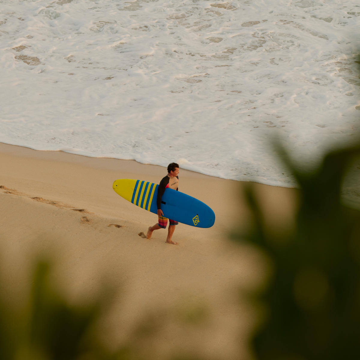 amanera experiences surfing1