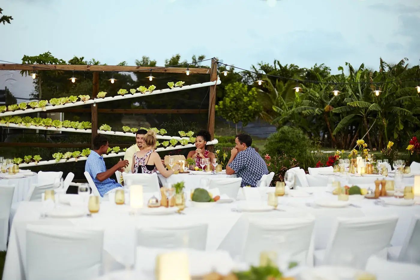 1 jumby bay antigua karibik the family project luxus familie kinder reisen