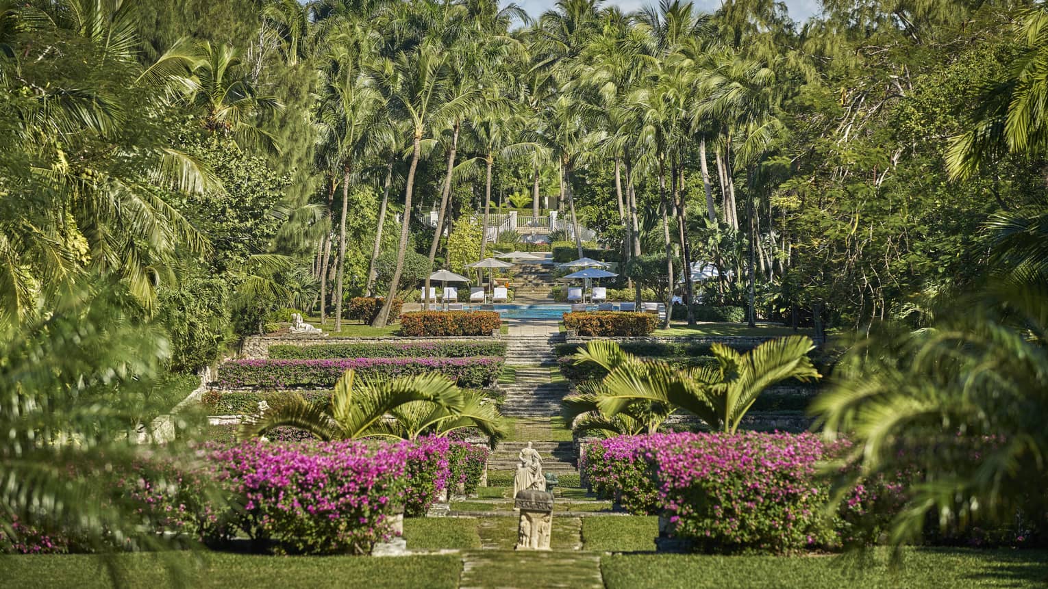 The ocean club Garten und Palmen