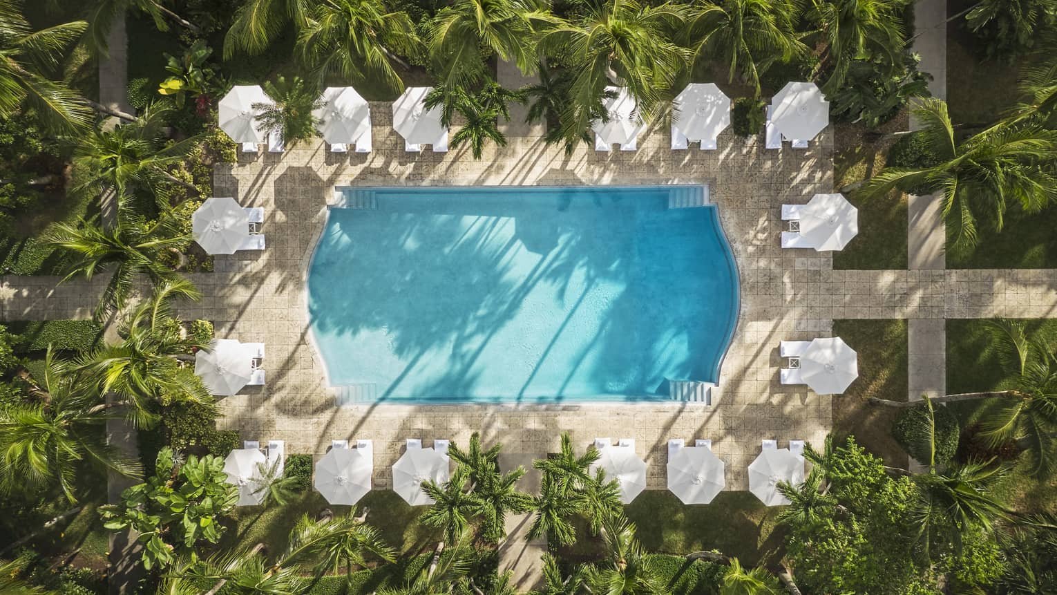 The ocean club Pool aus der Vogelperspektive
