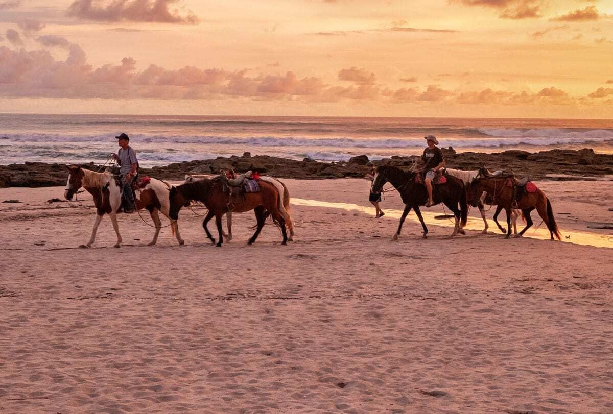 nantipa-costa-rica-familienluxusreise-thefamilyproject-aktivitaeten-pferde-reiten
