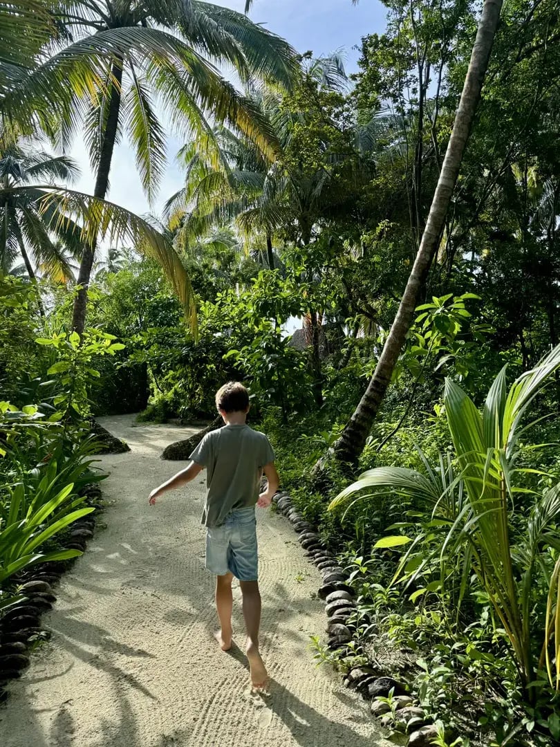 calala island privatbilder dschungel