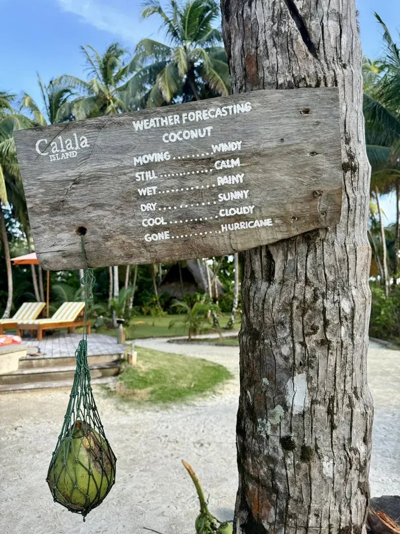 calala island privatbilder kokusnuss