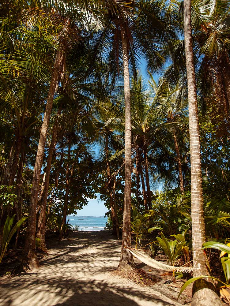 isla-palenque-panama-familienluxusreisen-thefamilyproject-natur