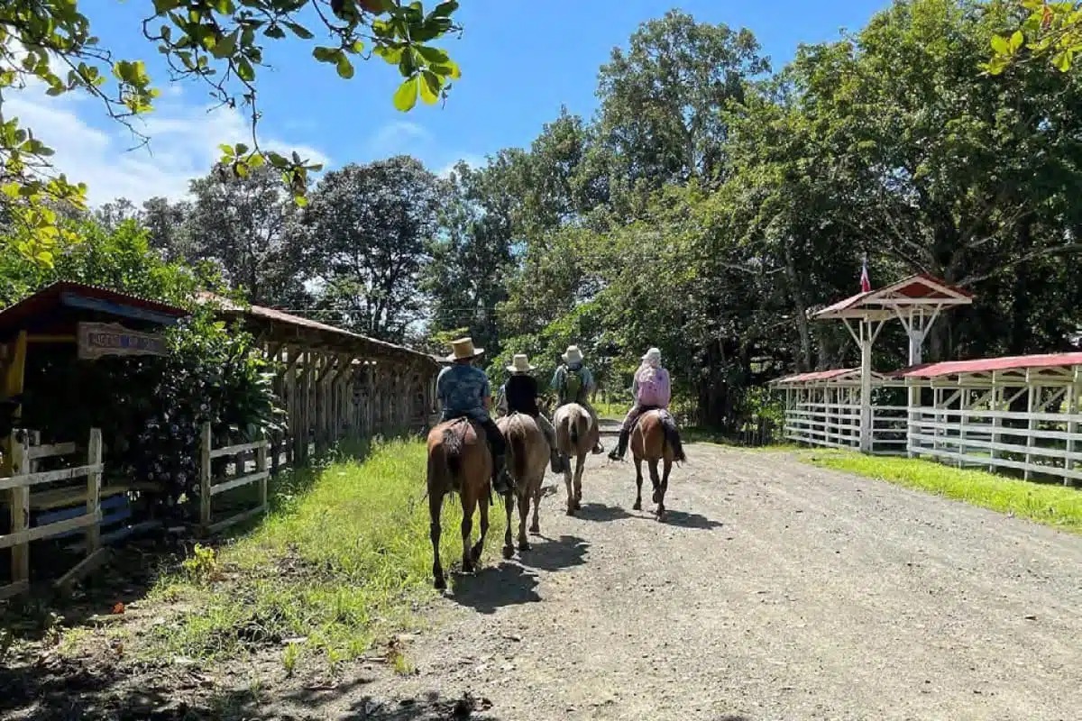 lapa-rios-lodge-costa-rica-familienluxusreise-thefamilyproject-pferdereiten-aktivitaeten