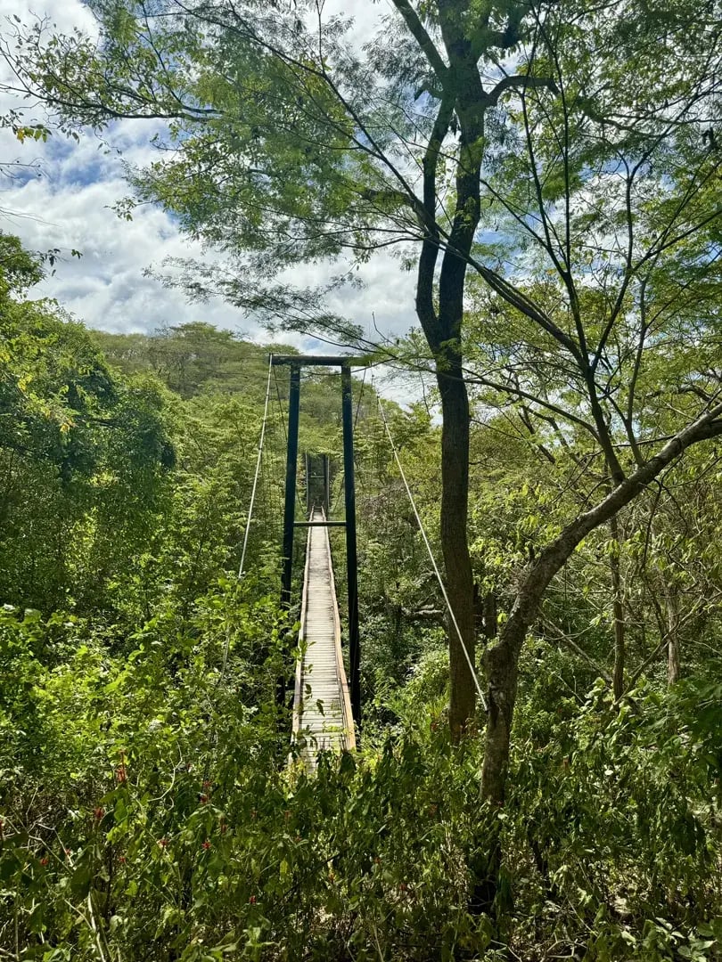morgans rock nicaragua san juan del sur mittelamerika aktivitaten brucke dschungel