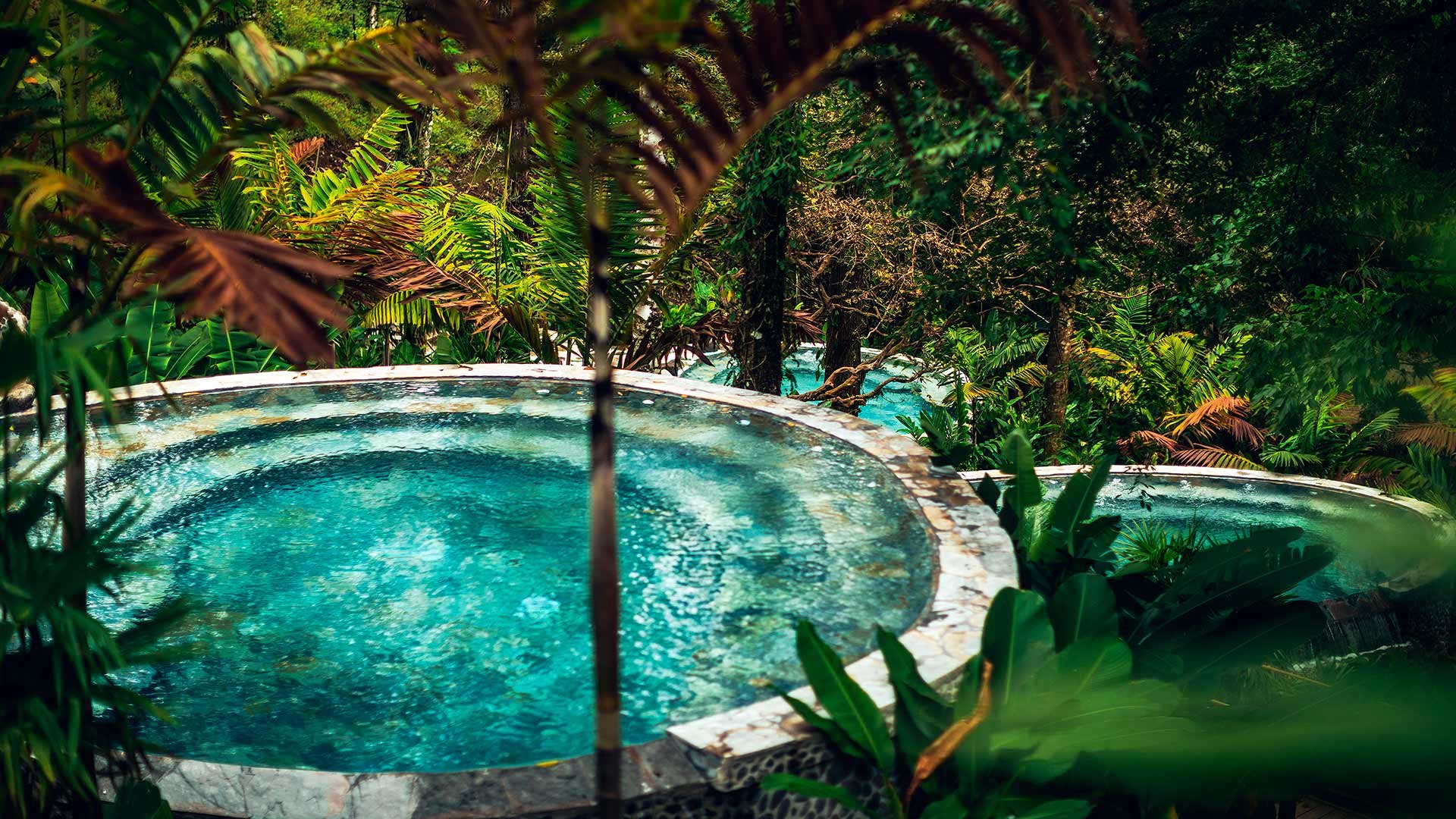 Nayara Tented Camp Costa-Rica runde Pool inmitten üppiger Grünpflanzen