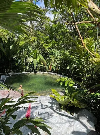 nayara tented camp arenal costa rica ubersicht the family project privatbilder badeb