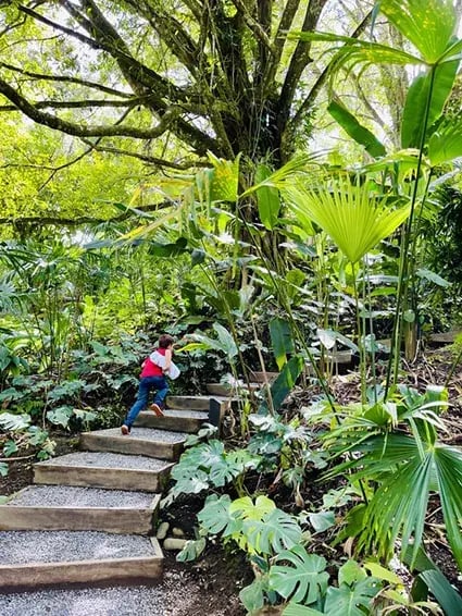 nayara tented camp arenal costa rica ubersicht the family project privatbilder dschungel
