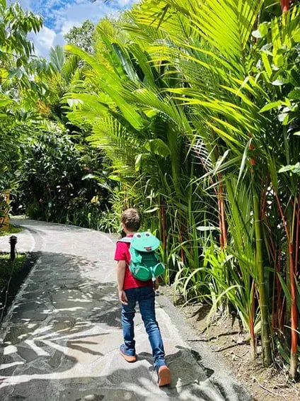 nayara tented camp arenal costa rica ubersicht the family project privatbilder wanderung