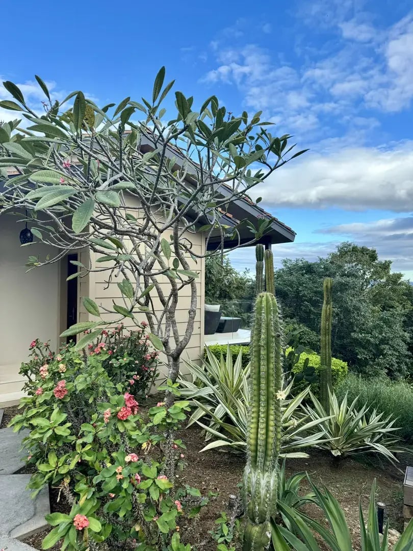 nekupe nicaragua nandaime mittelamerika club house the family project privatbilder garten