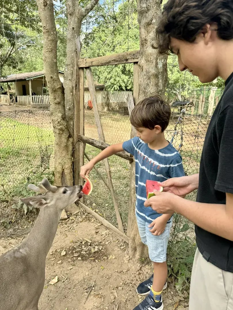 nekupe nicaragua nandaime mittelamerika club house the family project tiere futtern