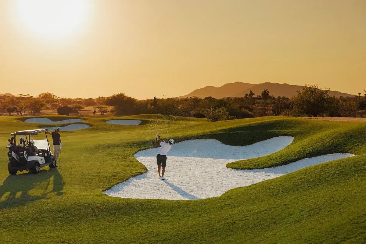 one only palmilla golf
