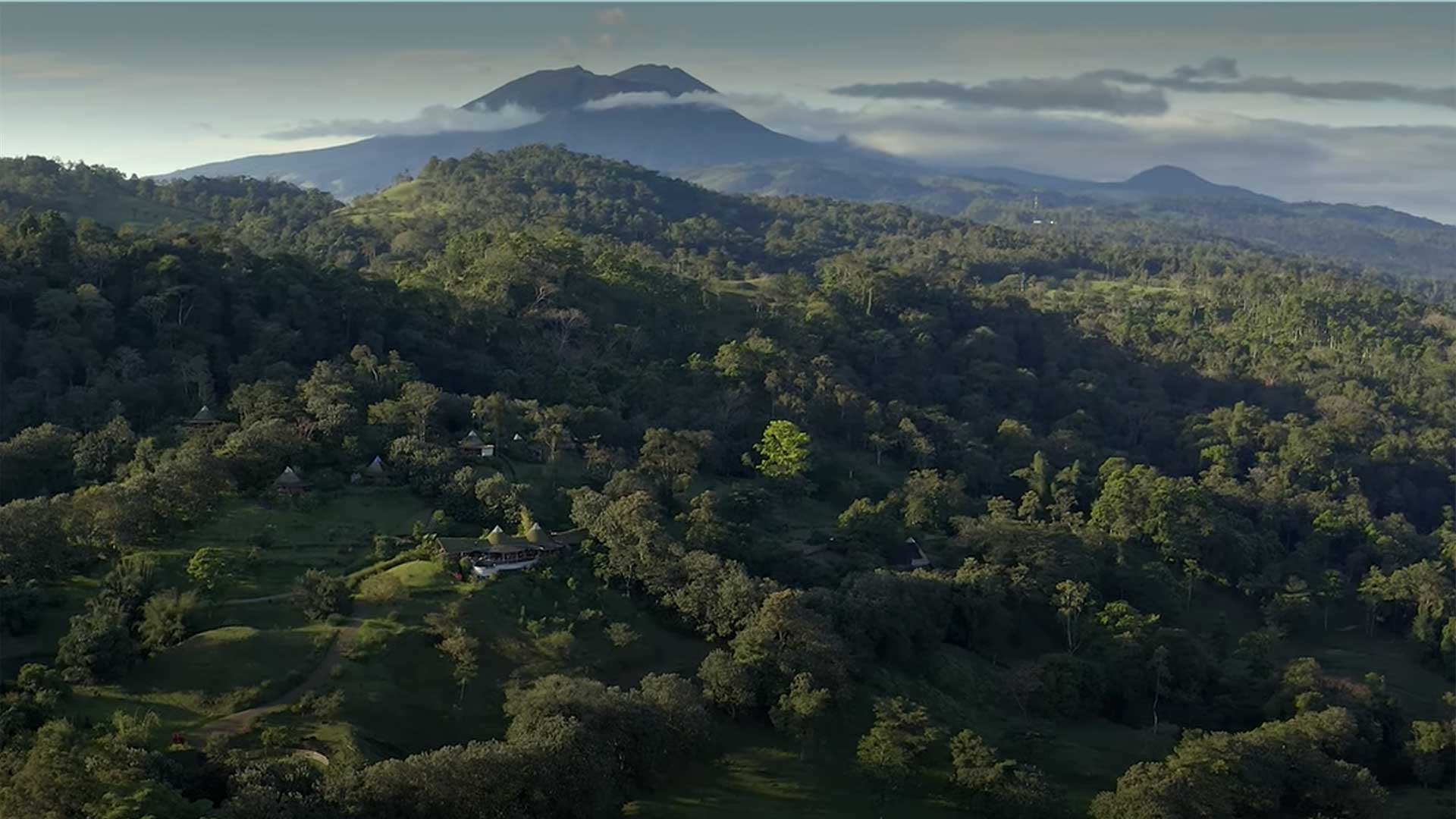 Origins-Lodge-Übersicht-im-Wald