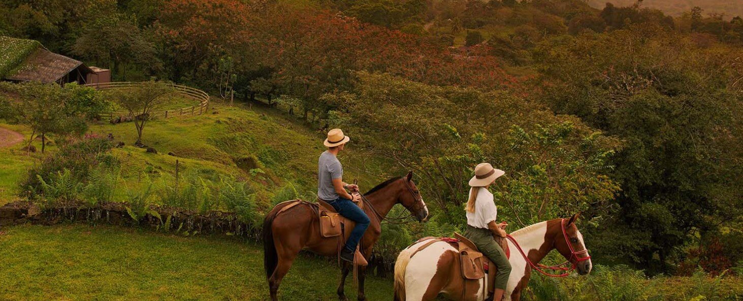 Origins-lodge-activities-horseriding