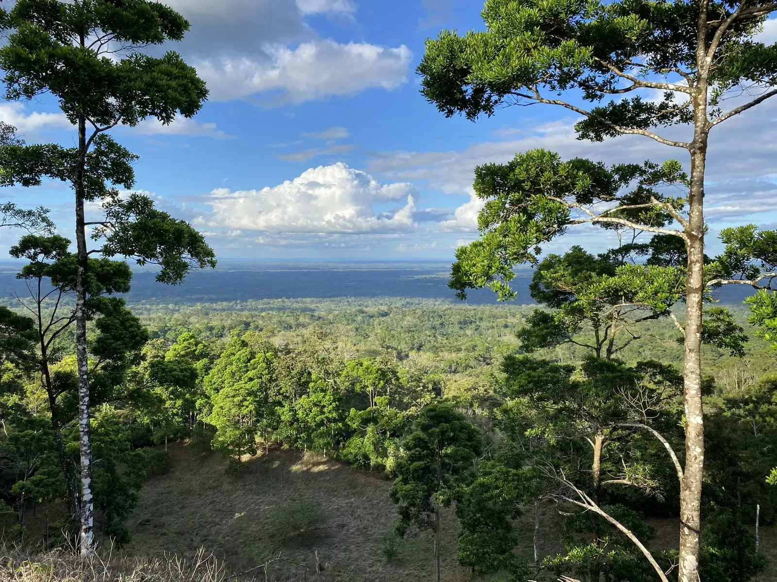 origins-astral-lodge-costa-rica-familienluxusreisen-thefamilyproject-panorama