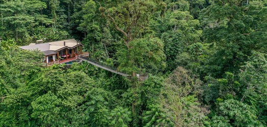 Pacuare Jungle Lodge Villa mit privatem Pool zwischen den Baumkronen