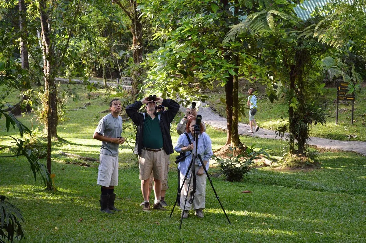 pacuare lodge vogel beobachtung mit dem Fernglas