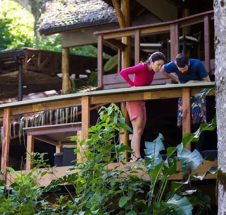 pacuare jungle lodge tour