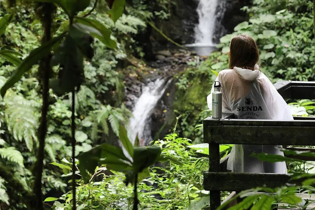 senda monteverde wasserfall