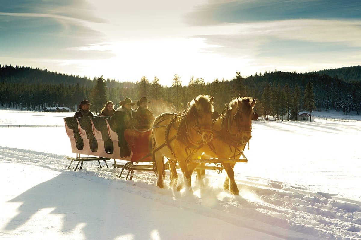 The resort at paws up Pferdeschlittenfahrt im Winter