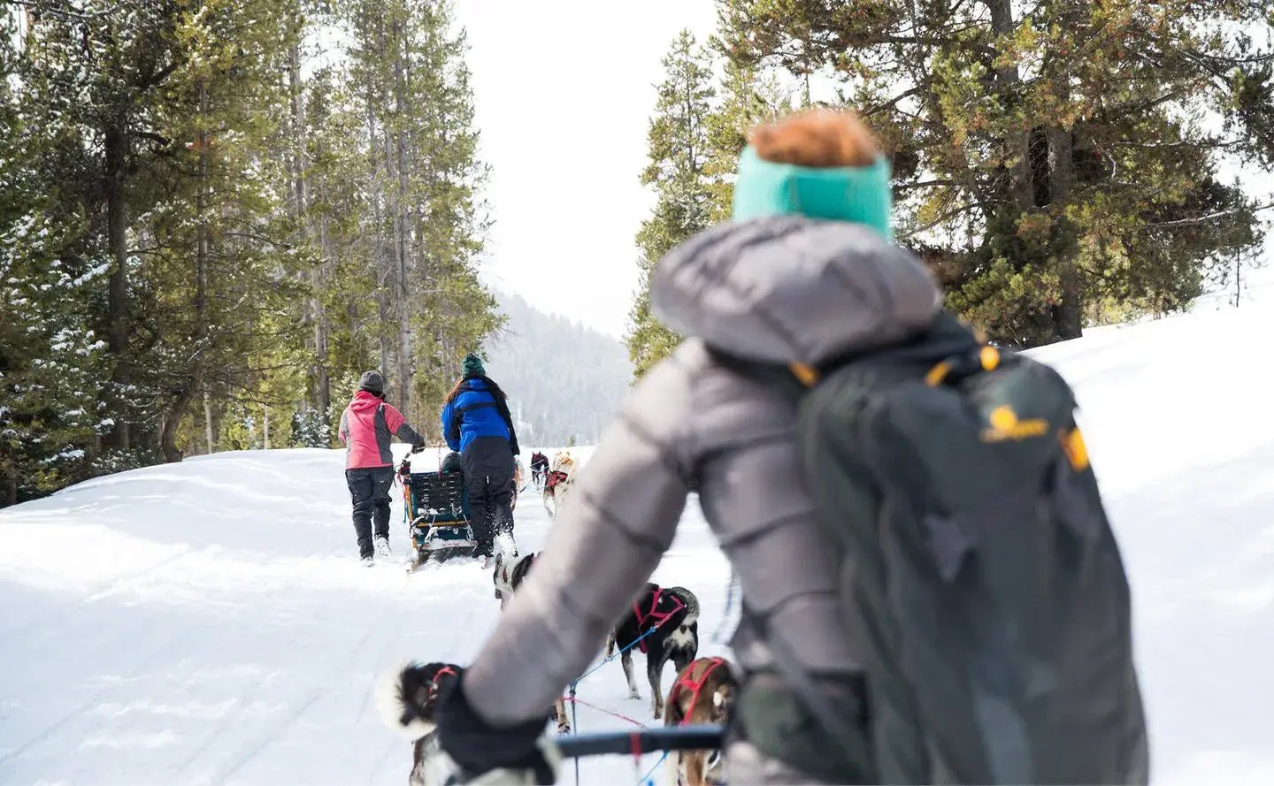 amangani wyoming usa aktivitaten the family project luxus familie kinder reisen