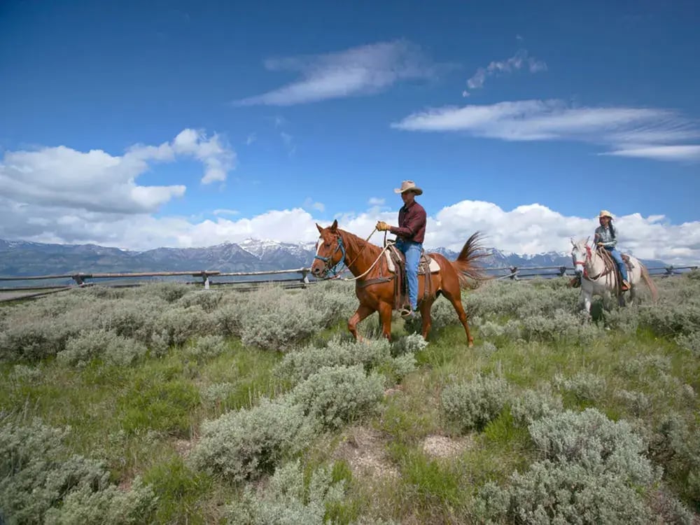 amangani wyoming reiten